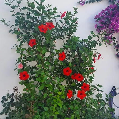 Holiday home Daglas House *