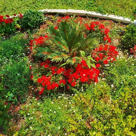 Daglas House 度假居 *